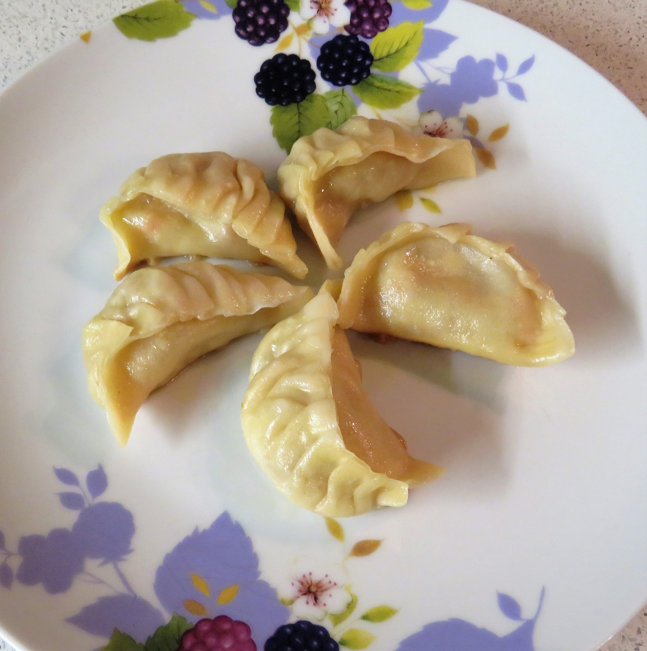 Ravioli cinesi in padella (Gyoza) – Doppia F in cucina